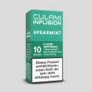 Spearmint NicSalt